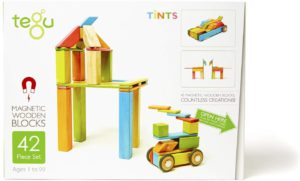 Tegu magnetic wooden blocks.